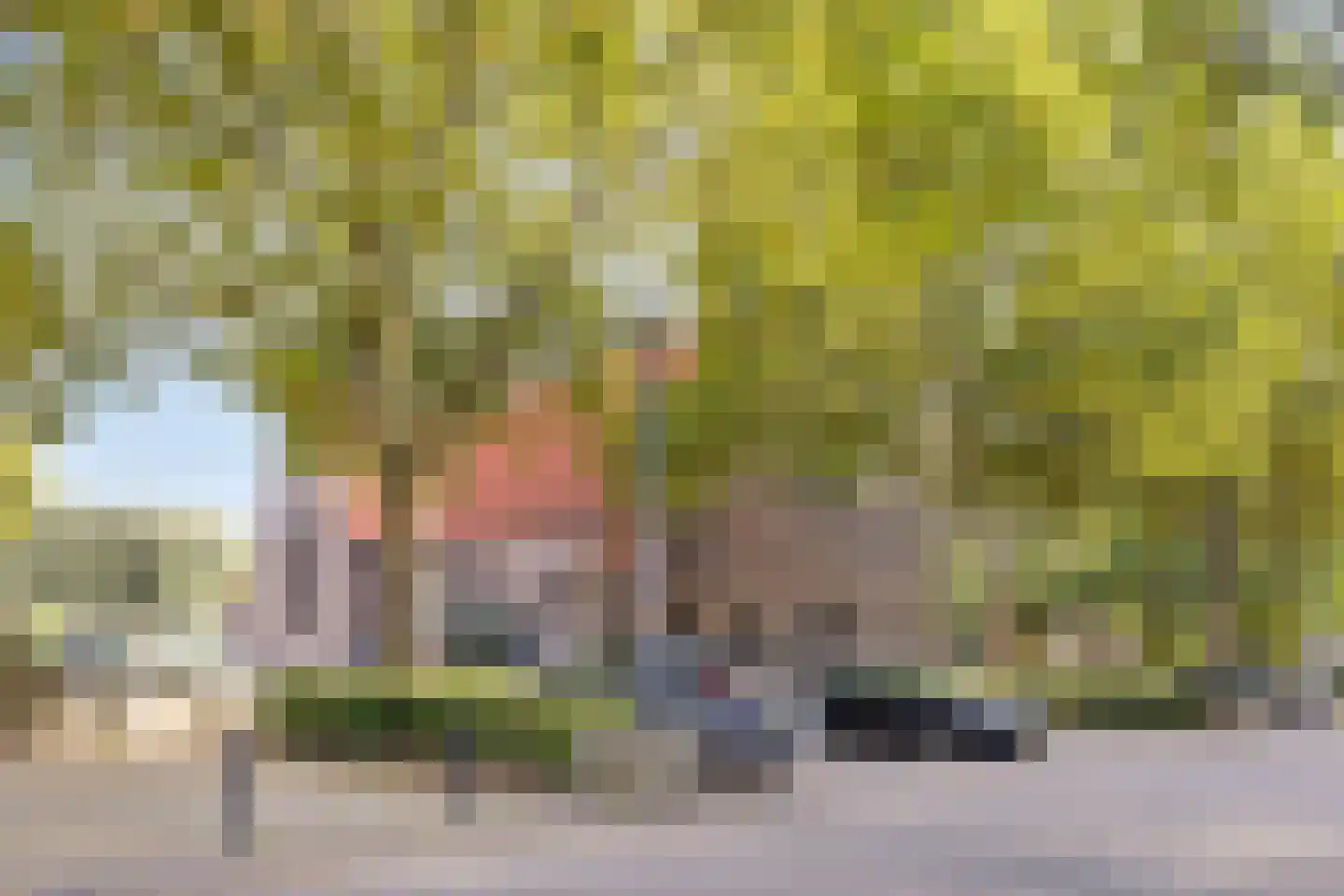 Veldstraat 6 Leuth thumbnail 36