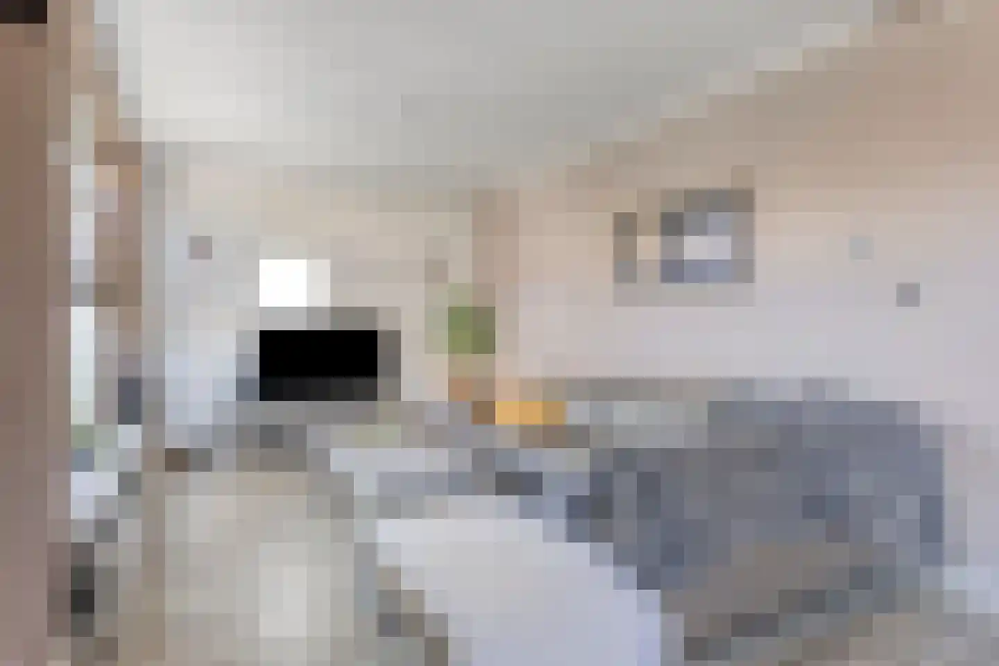 Veldstraat 6 Leuth thumbnail 7
