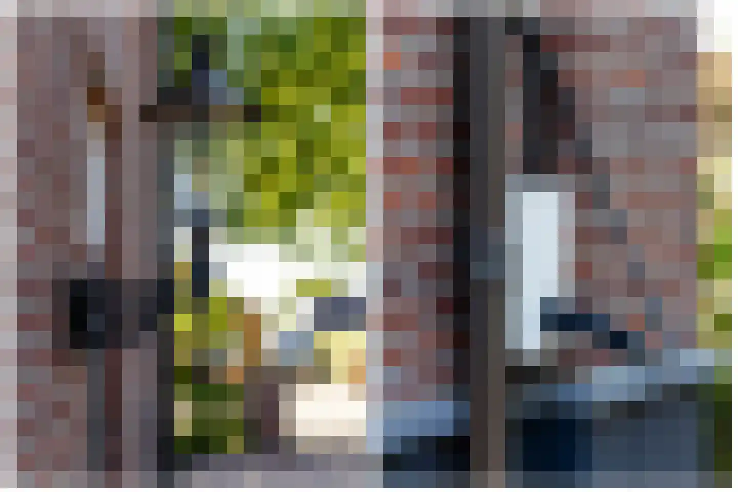 Veldstraat 6 Wijk en Aalburg thumbnail 77
