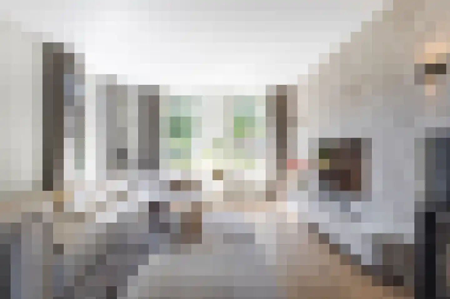 Veldstraat 6 Wijk en Aalburg thumbnail 8
