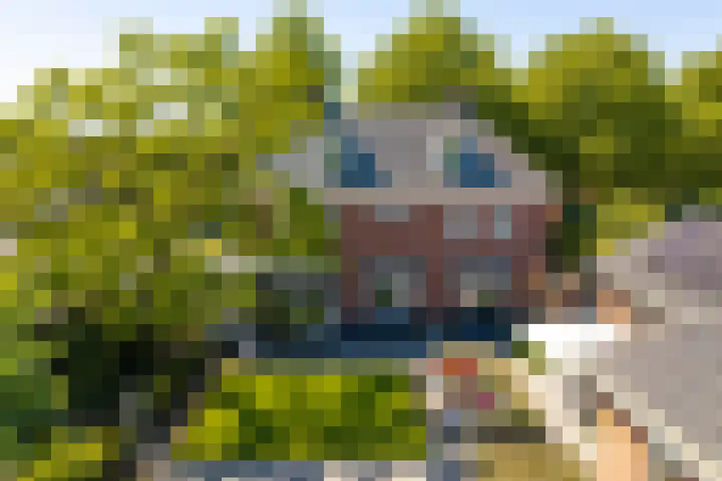 Veldstraat 6 Wijk en Aalburg thumbnail 81