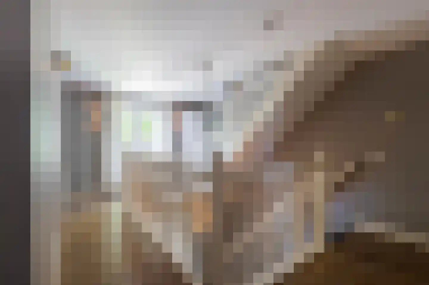 Veldstraat 6 Wijk en Aalburg thumbnail 9