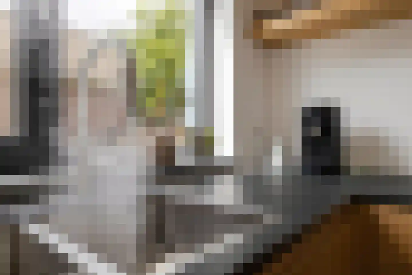 Veldstraat 62 Deurne thumbnail 15