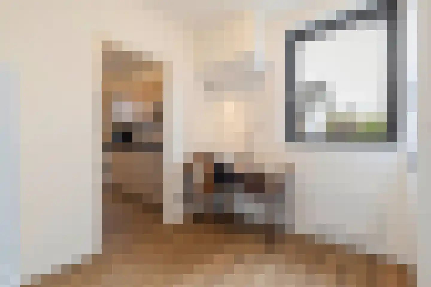 Veldstraat 62 Deurne thumbnail 24