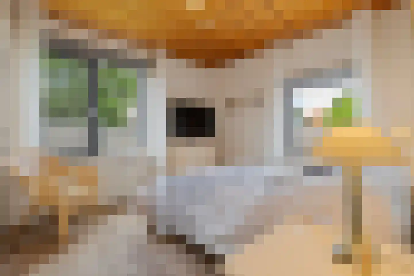 Veldstraat 62 Deurne thumbnail 29