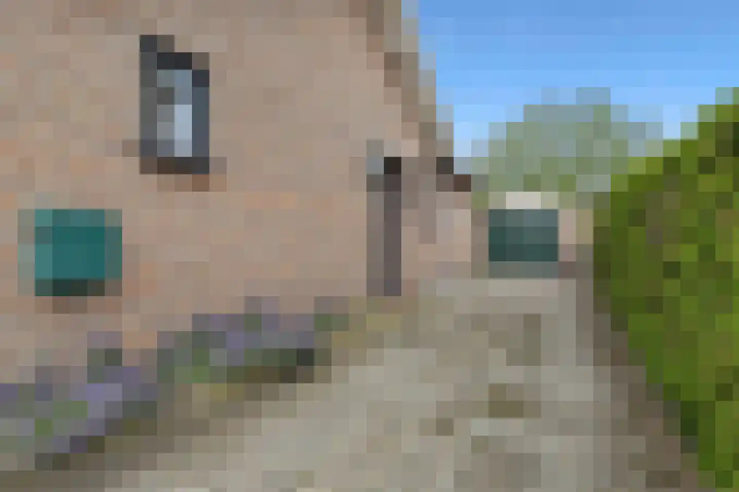 Veldstraat 62 Deurne thumbnail 38