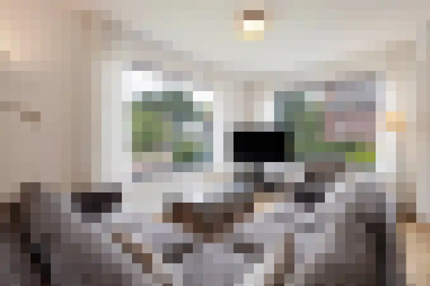 Veldstraat 62 Deurne thumbnail 9