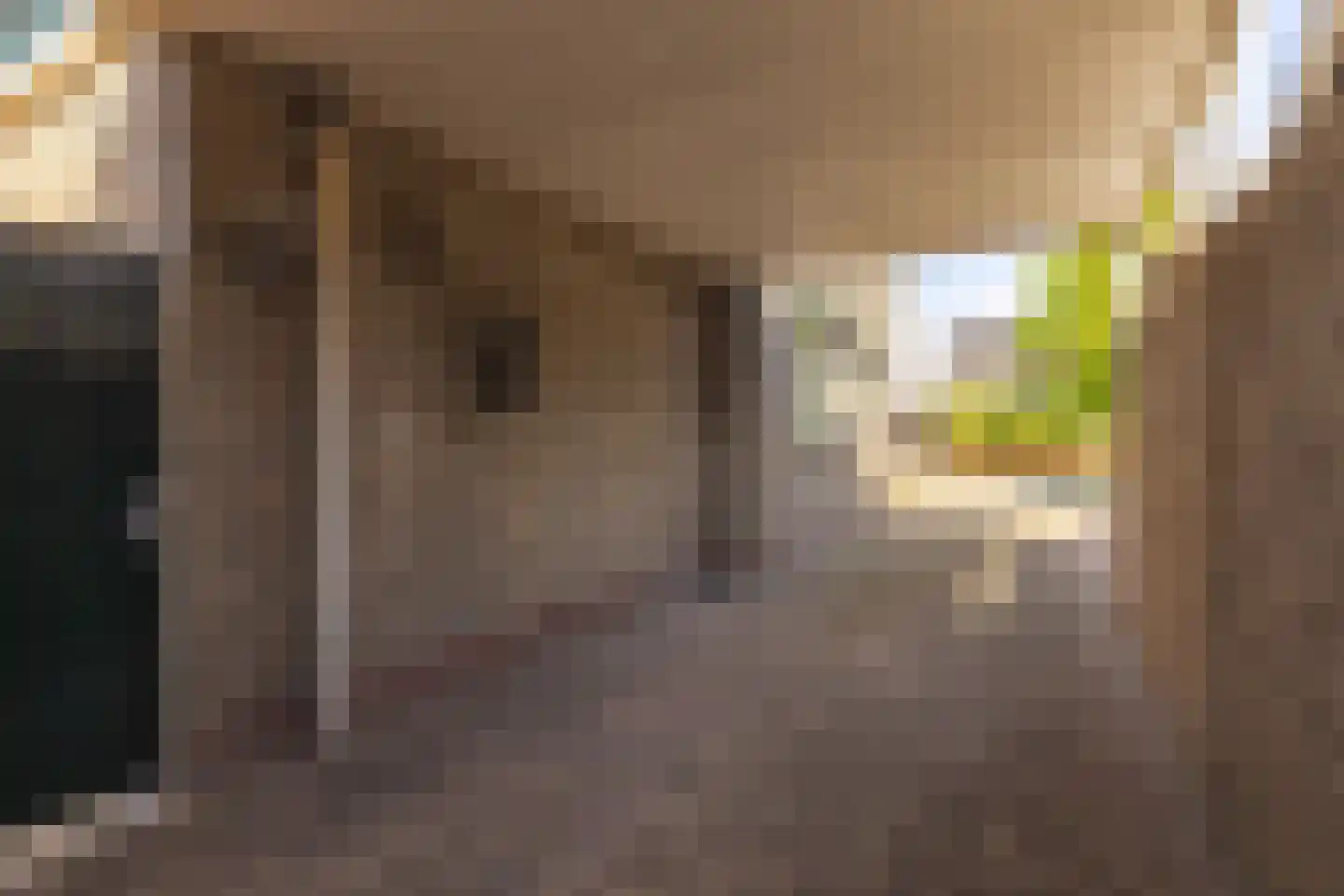 Veldstraat 65 Zundert thumbnail 4