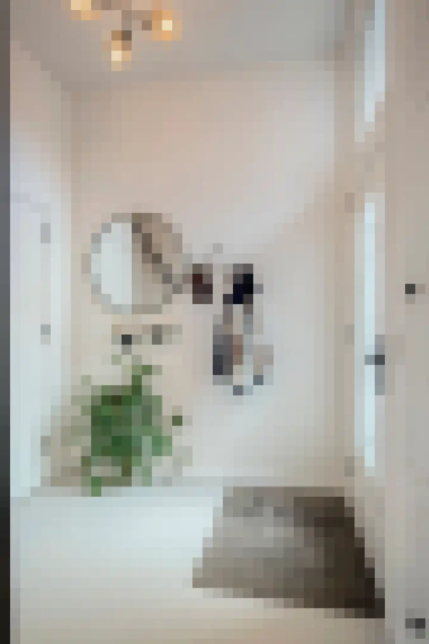 Veldstraat 7 Deventer thumbnail 6