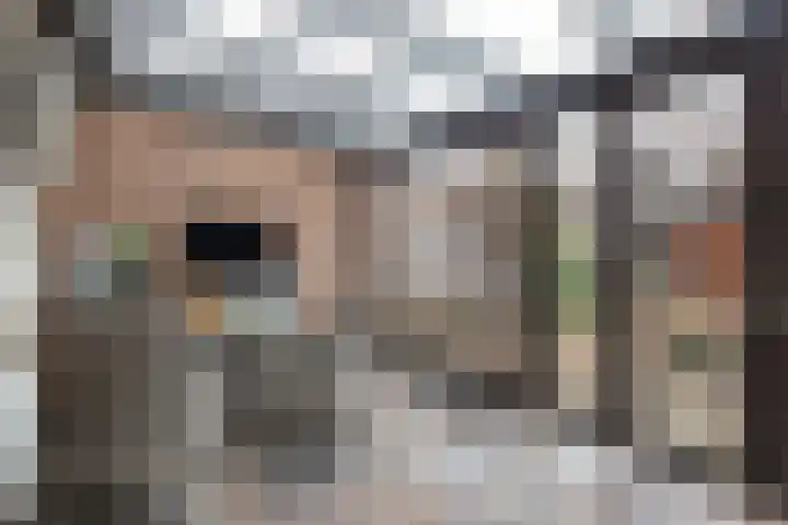 Veldstraat 7 Helden thumbnail 12