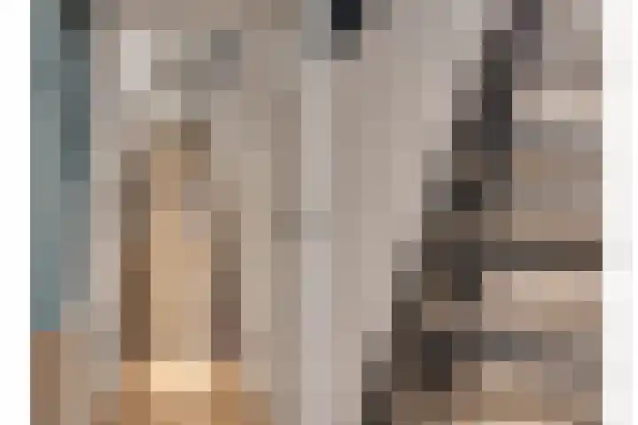Veldstraat 7 Helden thumbnail 16