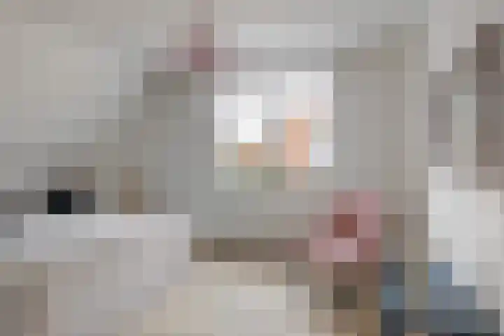Veldstraat 7 Helden thumbnail 18