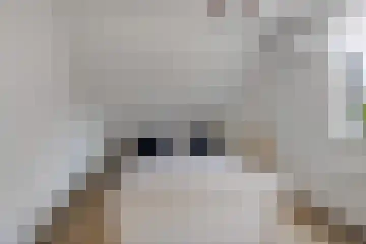Veldstraat 7 Helden thumbnail 19
