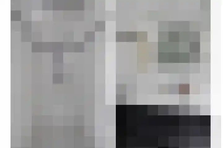 Veldstraat 7 Helden thumbnail 25