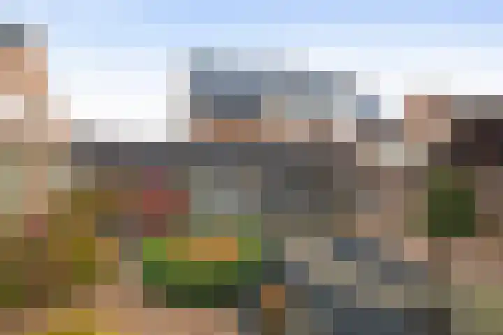 Veldstraat 7 Helden thumbnail 28
