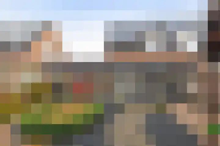 Veldstraat 7 Helden thumbnail 29