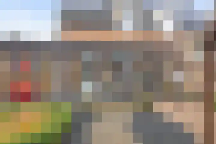 Veldstraat 7 Helden thumbnail 30