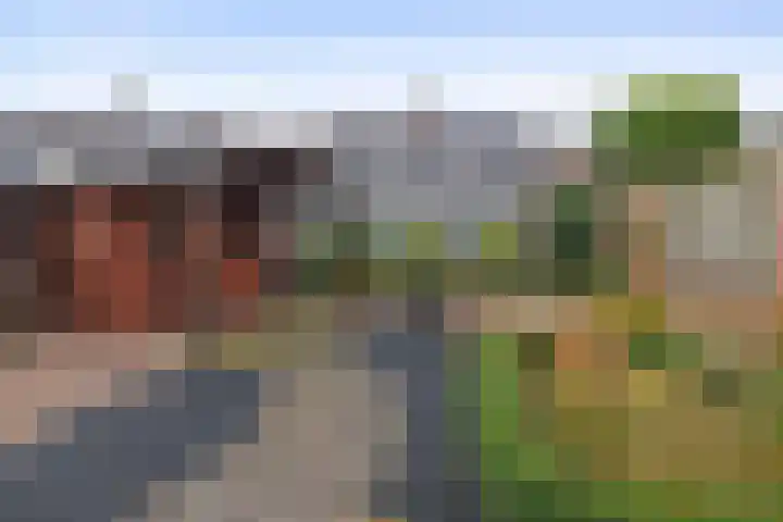 Veldstraat 7 Helden thumbnail 33
