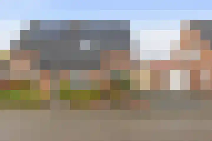 Veldstraat 7 Helden thumbnail 35
