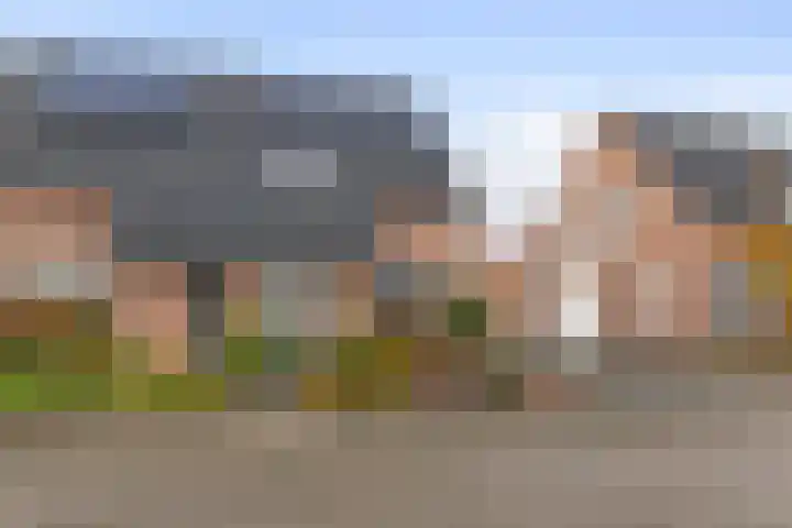 Veldstraat 7 Helden thumbnail 36