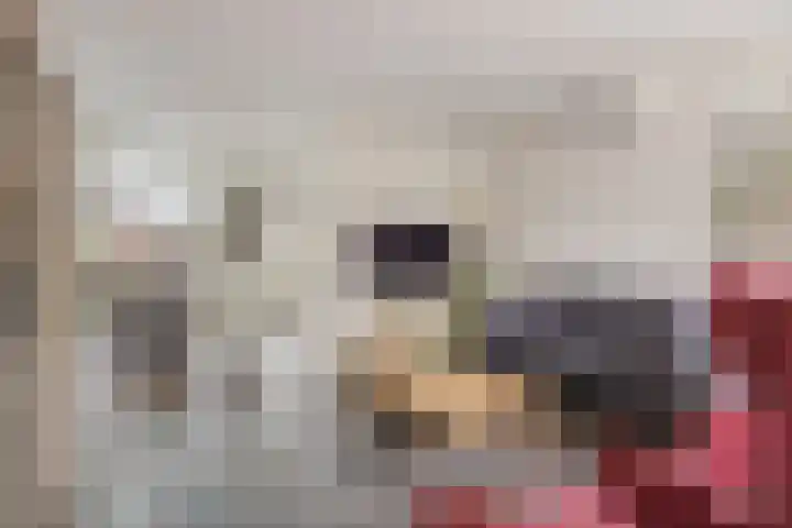 Veldstraat 7 Helden thumbnail 4