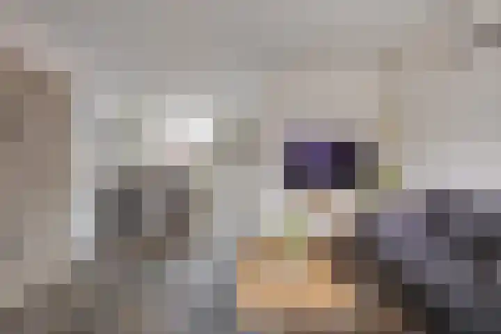 Veldstraat 7 Helden thumbnail 5