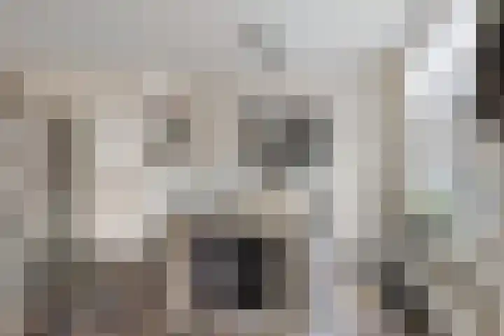 Veldstraat 7 Helden thumbnail 6