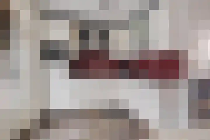 Veldstraat 7 Helden thumbnail 9