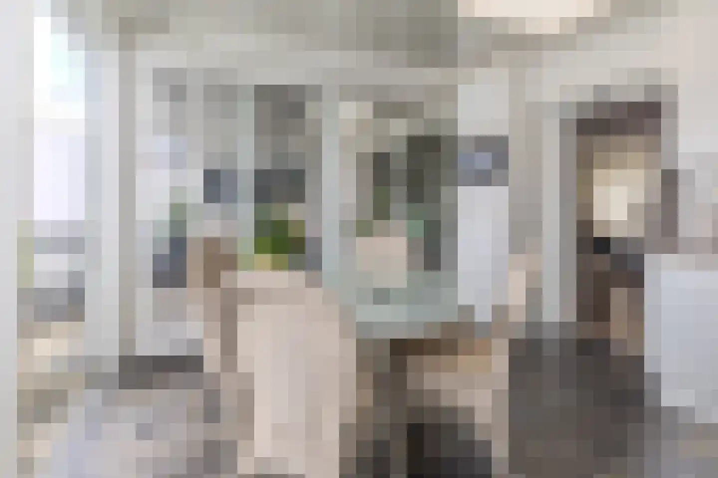 Veldstraat 73 Maastricht thumbnail 13