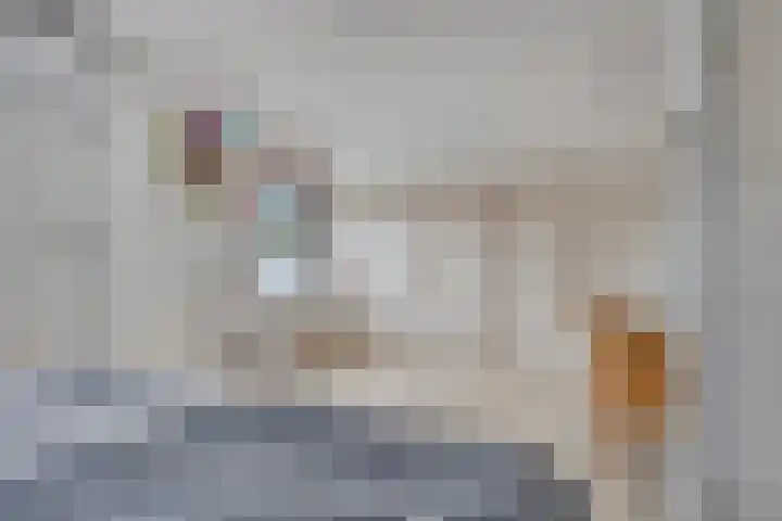 Veldstraat 74 Baarlo thumbnail 17