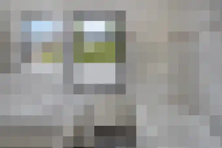 Veldstraat 74 Baarlo thumbnail 25