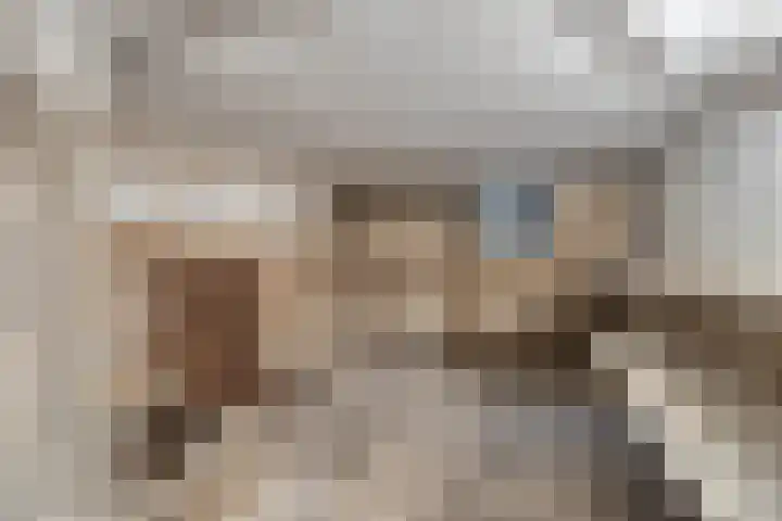 Veldstraat 74 Baarlo thumbnail 28