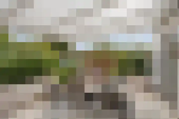 Veldstraat 74 Baarlo thumbnail 30