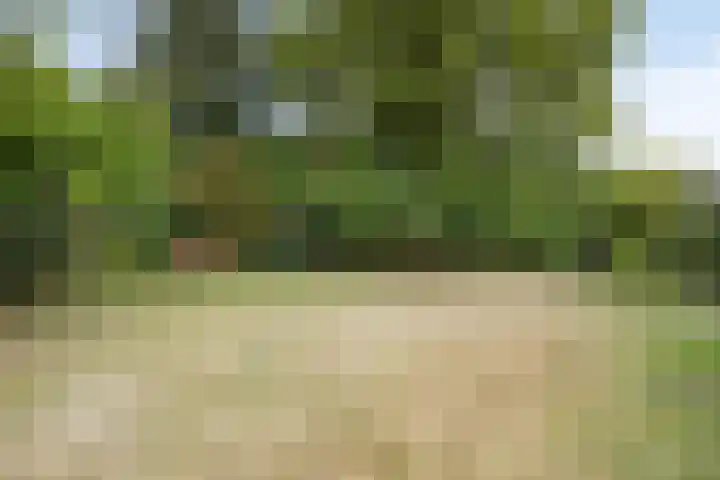Veldstraat 74 Baarlo thumbnail 35