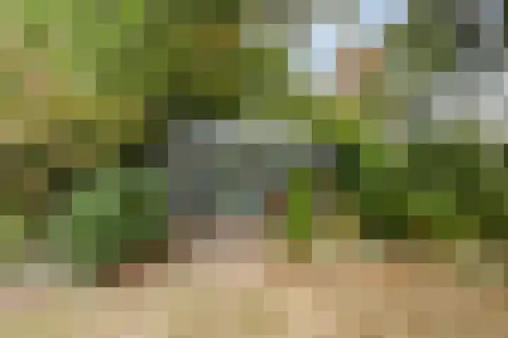Veldstraat 74 Baarlo thumbnail 36