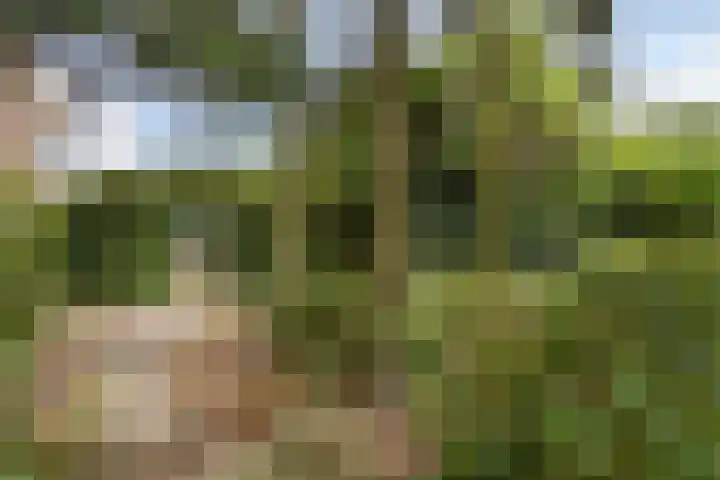 Veldstraat 74 Baarlo thumbnail 37