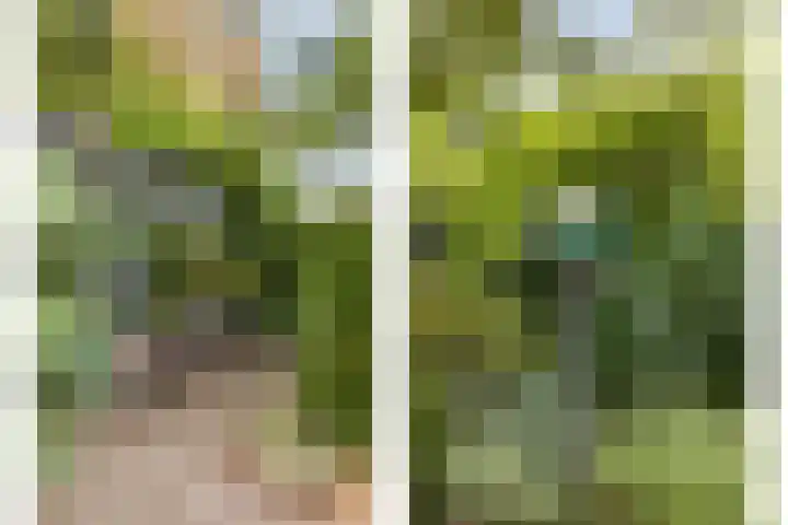 Veldstraat 74 Baarlo thumbnail 43