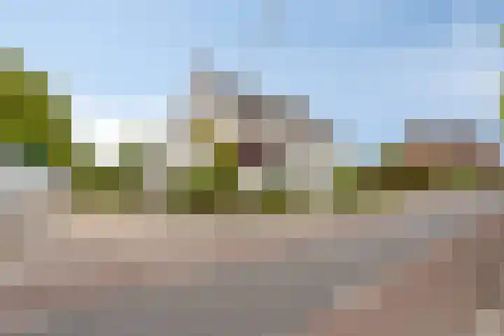 Veldstraat 74 Baarlo thumbnail 44