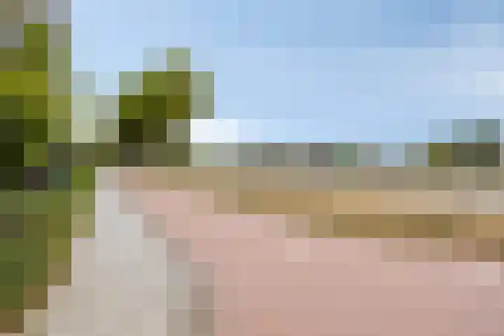 Veldstraat 74 Baarlo thumbnail 45