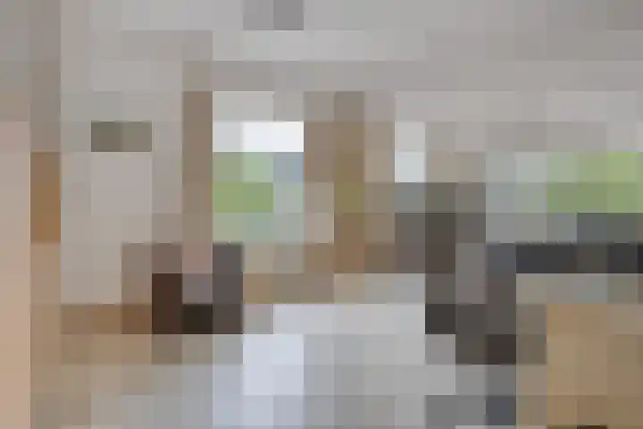 Veldstraat 74 Baarlo thumbnail 7