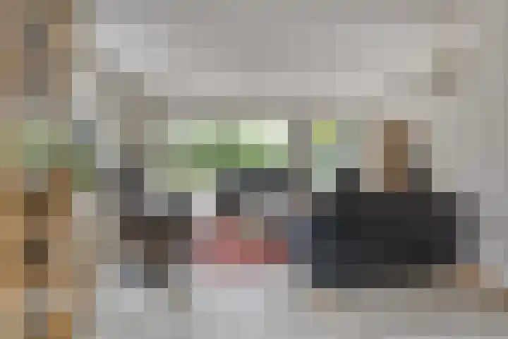 Veldstraat 74 Baarlo thumbnail 8