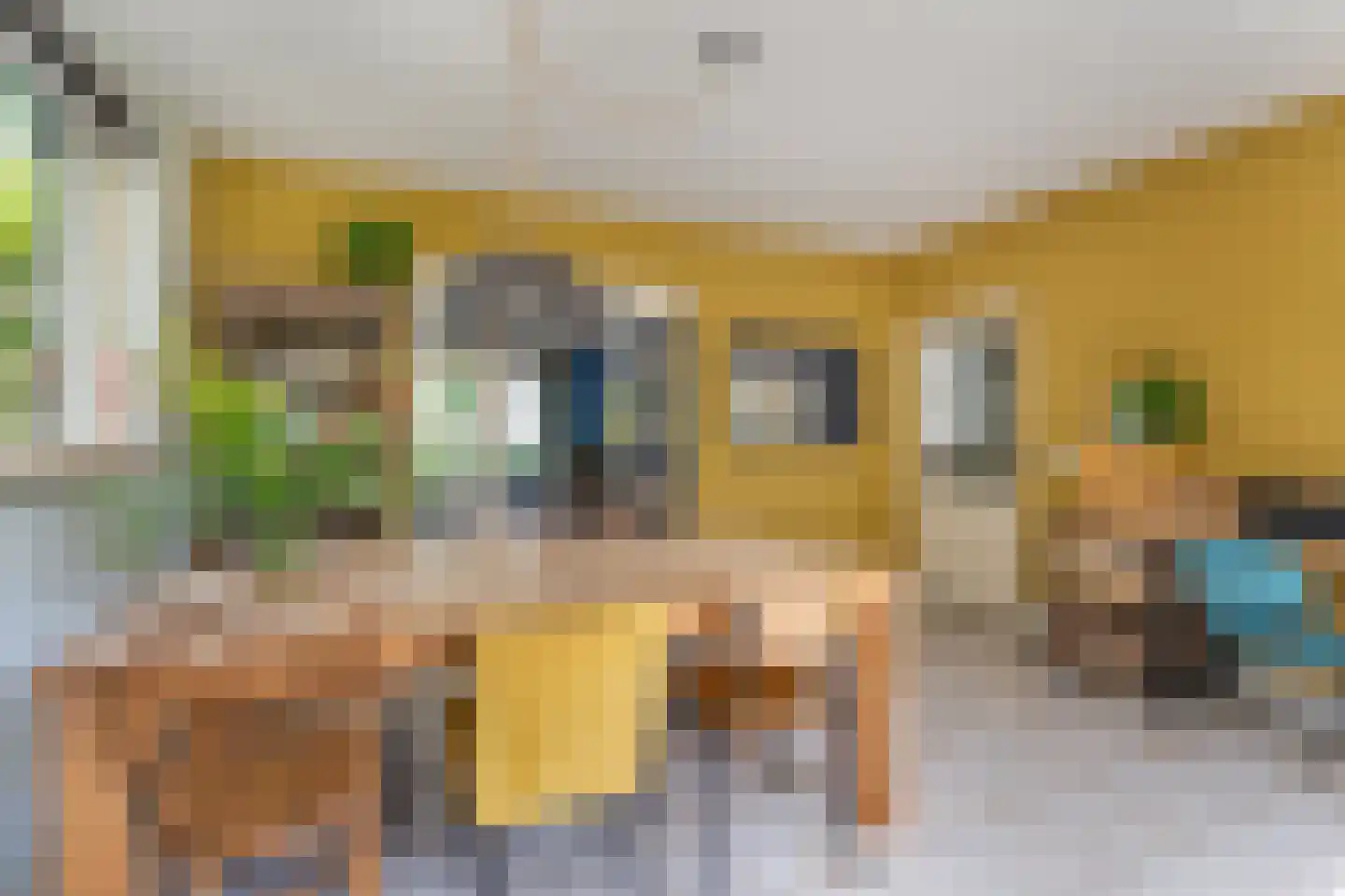 Veldstraat 8 Den Dungen thumbnail 13