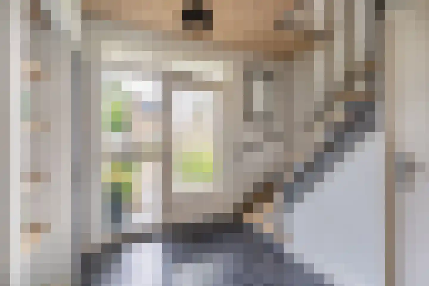 Veldstraat 8 Den Dungen thumbnail 18
