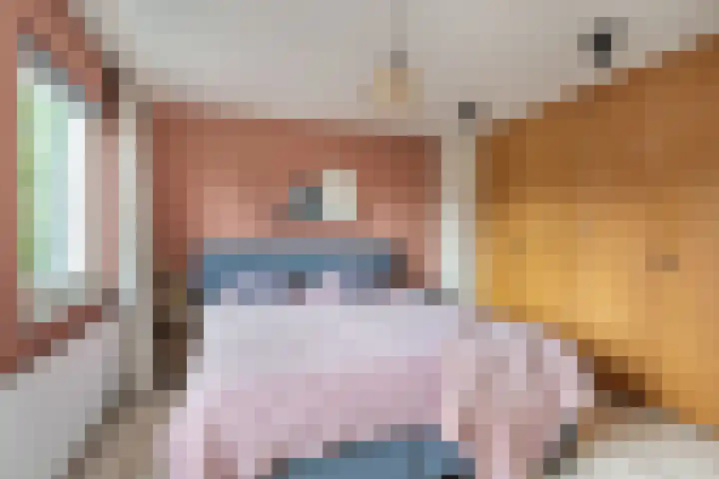 Veldstraat 8 Den Dungen thumbnail 20