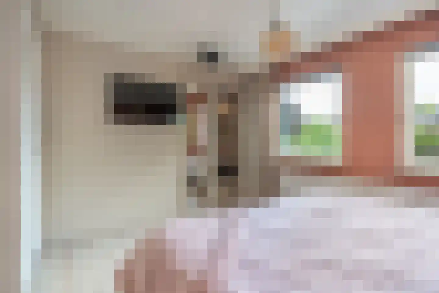 Veldstraat 8 Den Dungen thumbnail 21