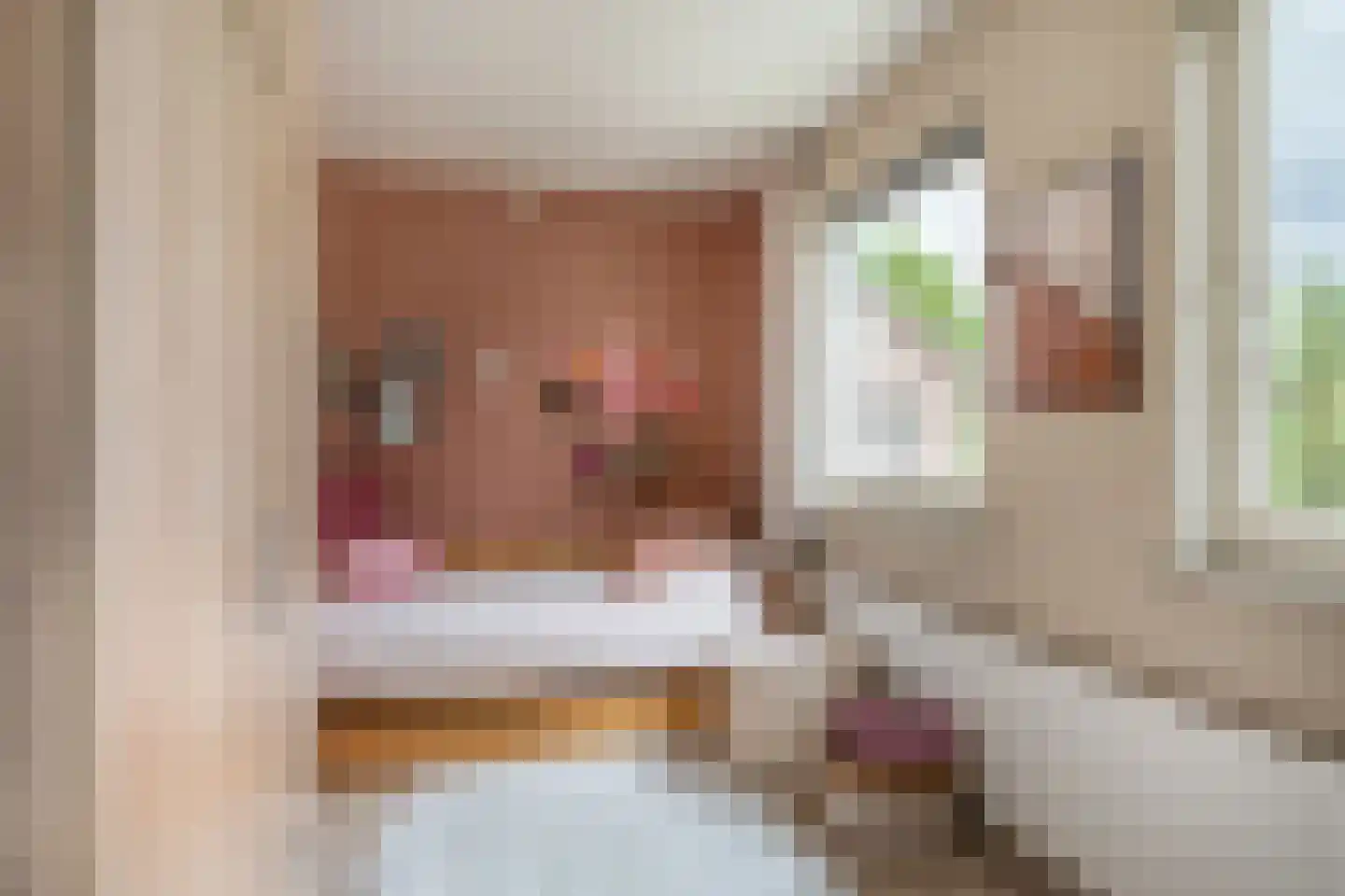 Veldstraat 8 Den Dungen thumbnail 24