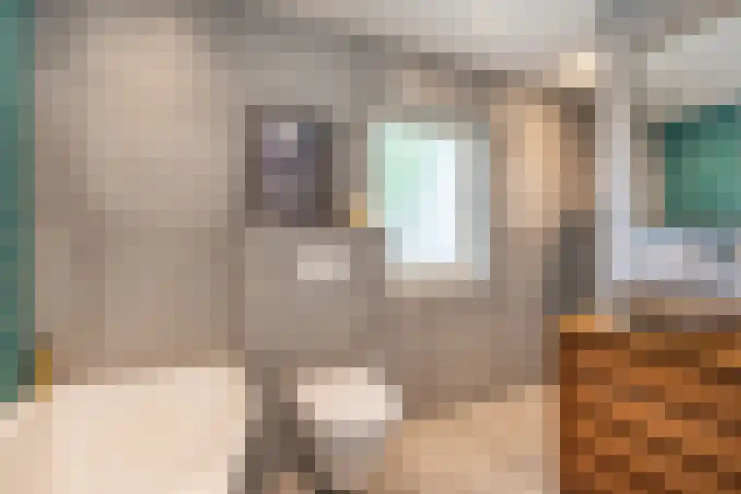 Veldstraat 8 Den Dungen thumbnail 27