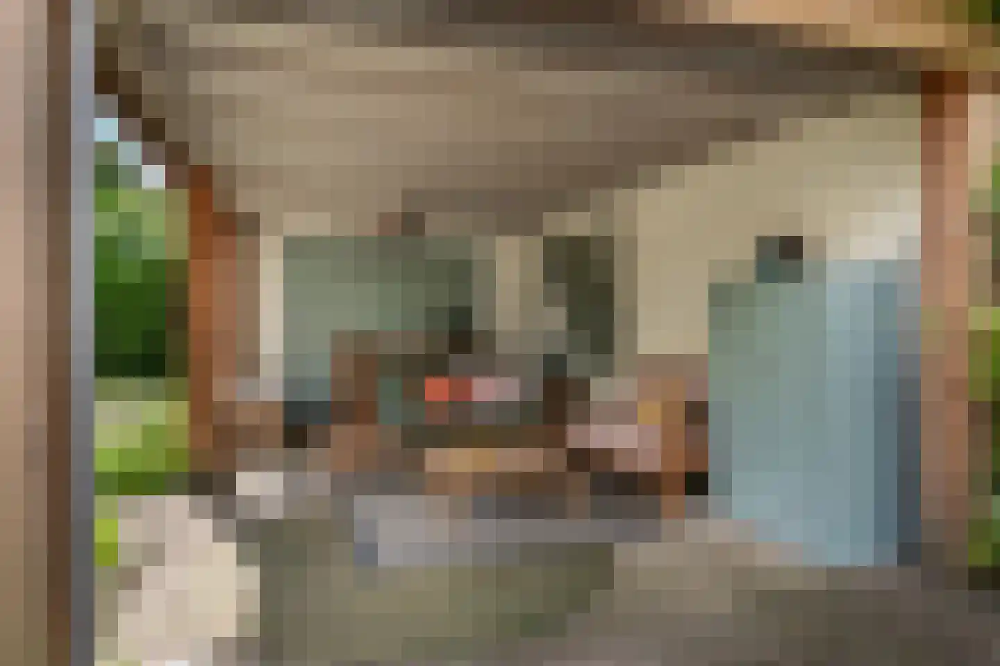 Veldstraat 8 Den Dungen thumbnail 31