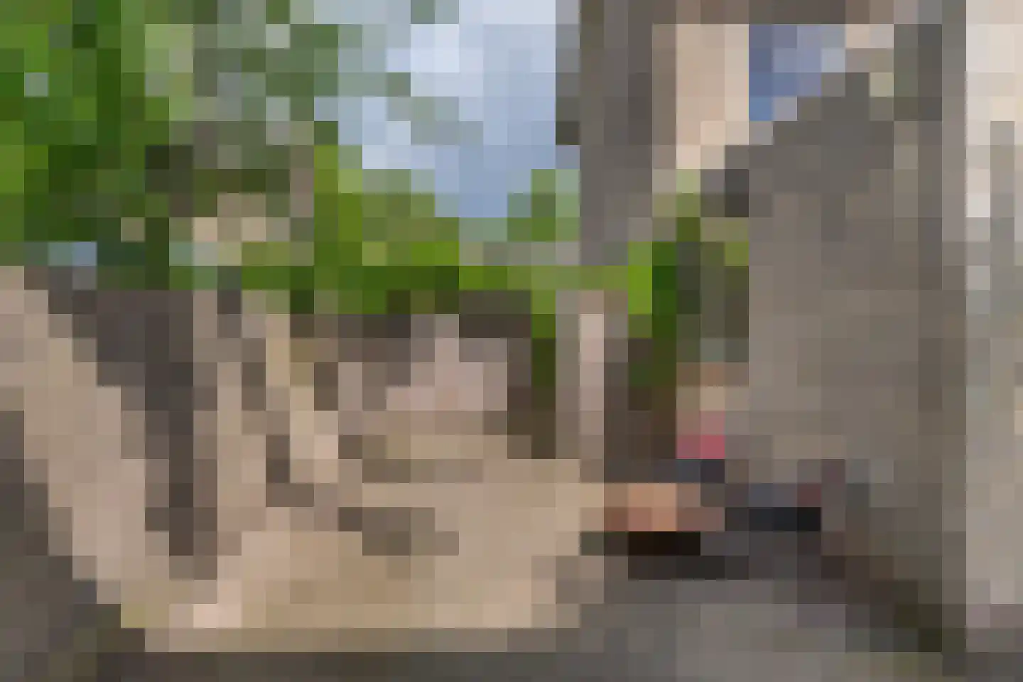 Veldstraat 8 Den Dungen thumbnail 35