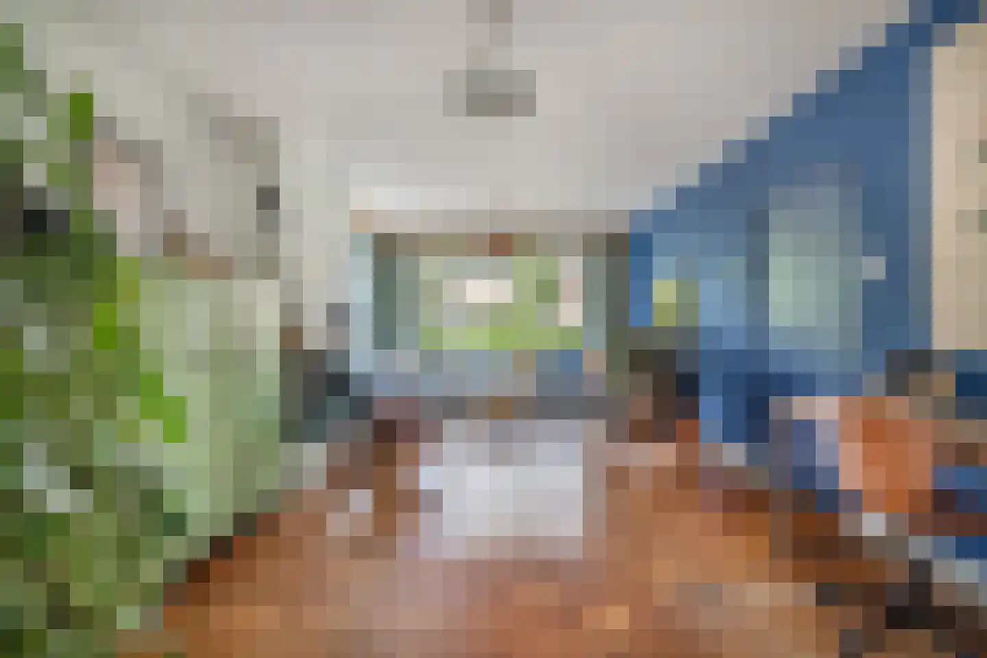 Veldstraat 8 Den Dungen thumbnail 4